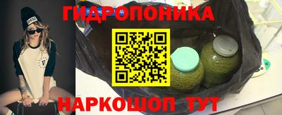 spice Новодвинск