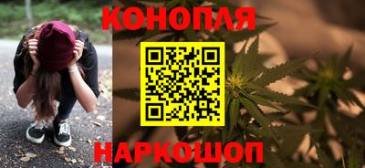 spice Новодвинск