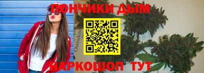 spice Новодвинск