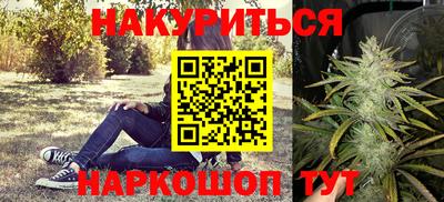 spice Новодвинск