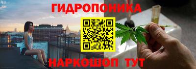 mdma Новозыбков