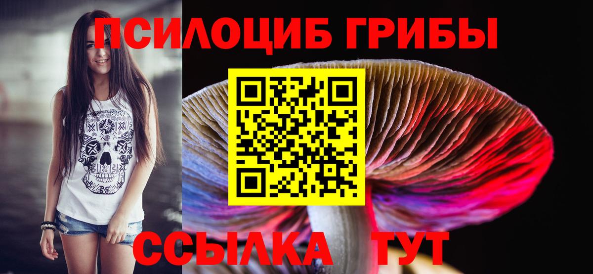 Глазов  Галлюциногенные грибы мухоморы  Псилоцибиновые грибы мухоморы  Вход с VPN 