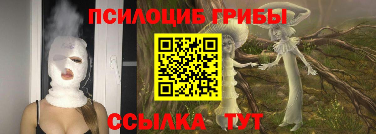 Галлюциногенные грибы Psilocybine cubensis Глазов